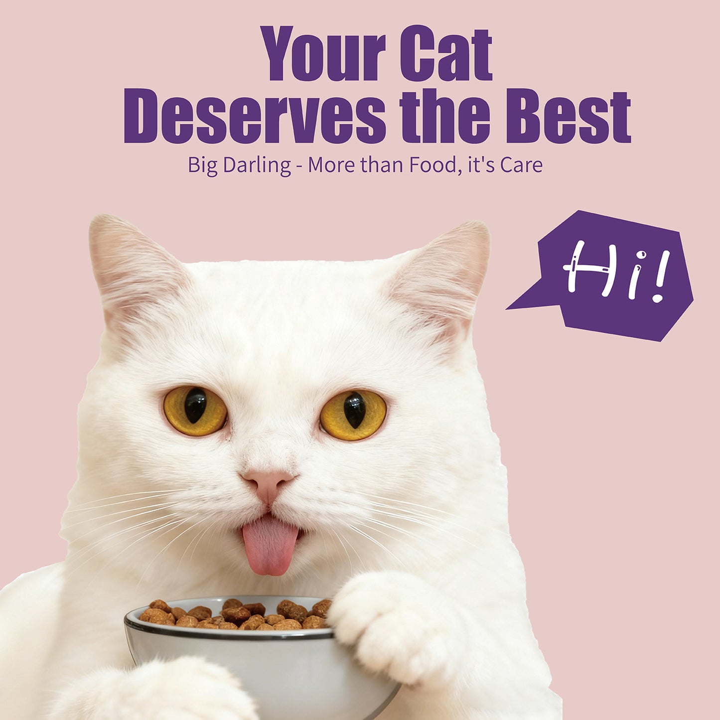 JooyPet Aozi Adult Cat Food 20KG Sack Salmon Flavor 24% Protein Omega Fatty Acids for Optimal Nutrition