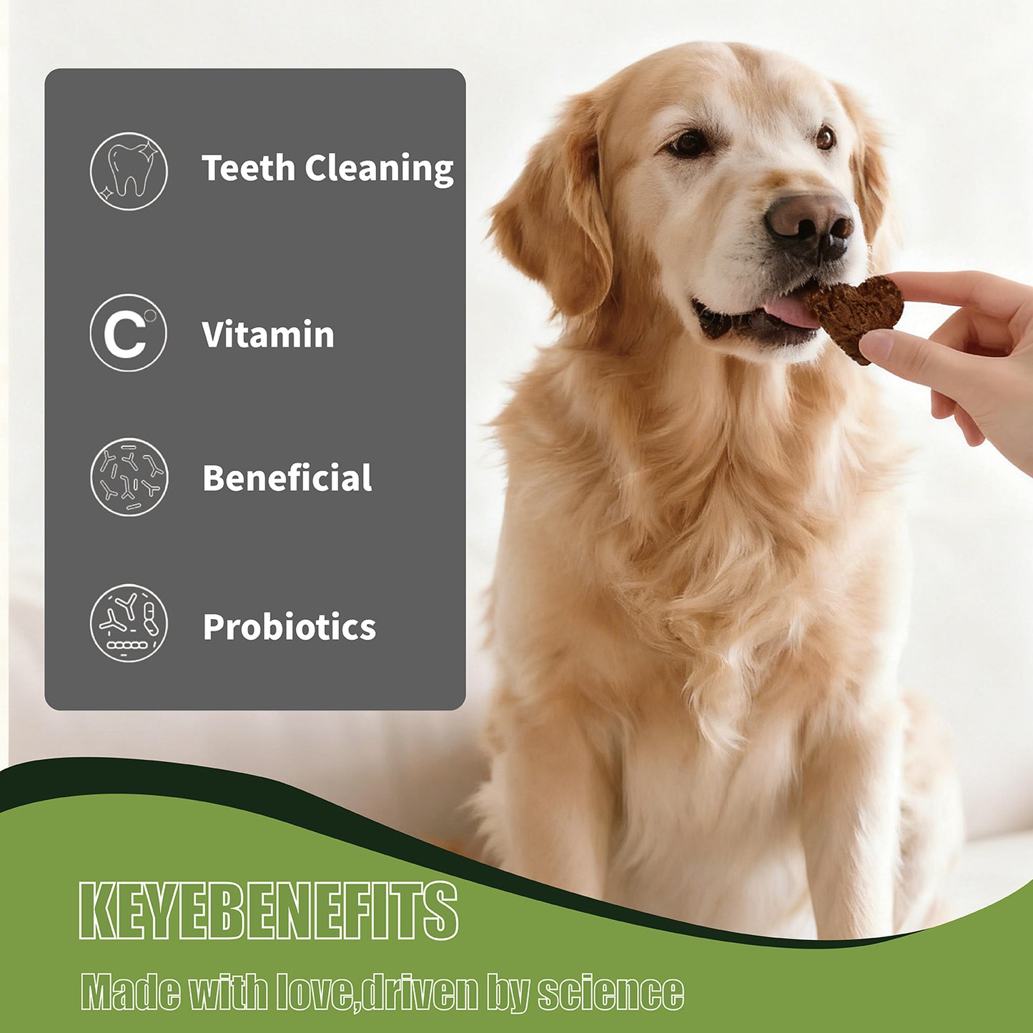 10kg Aozi Lamb and Apple Natural Organic All Stages Adult Puppy Dog Dogs Dry Dog Food Dog Essentials