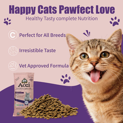 JooyPet Aozi Adult Cat Food 20KG Sack Salmon Flavor 24% Protein Omega Fatty Acids for Optimal Nutrition