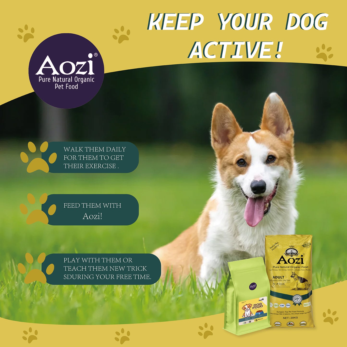 JooyPet AOZI Holistic Dog Food with Beef Jerky & Goat Milk Hypoallergenic High Protein Kibble for Shih Tzu Puppies & Sensitive Skin Murang Weight Gain Formula Organic Ingredients