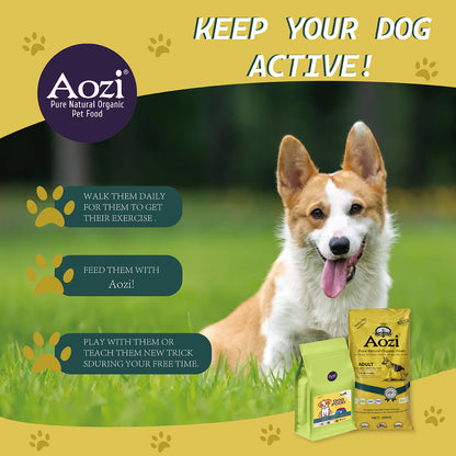 JooyPet AOZI Holistic Dog Food with Beef Jerky & Goat Milk Hypoallergenic High Protein Kibble for Shih Tzu Puppies & Sensitive Skin Murang Weight Gain Formula Organic Ingredients