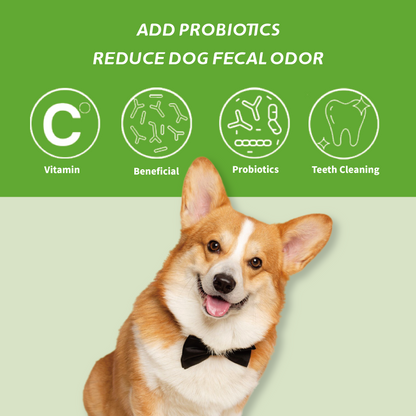 Aozi 1kg Organic Lamb & Apple Dry Dog Food for Adults & Puppies - Complete Balanced Nutrition with Immune Boost & Healthy Skin Coat Support