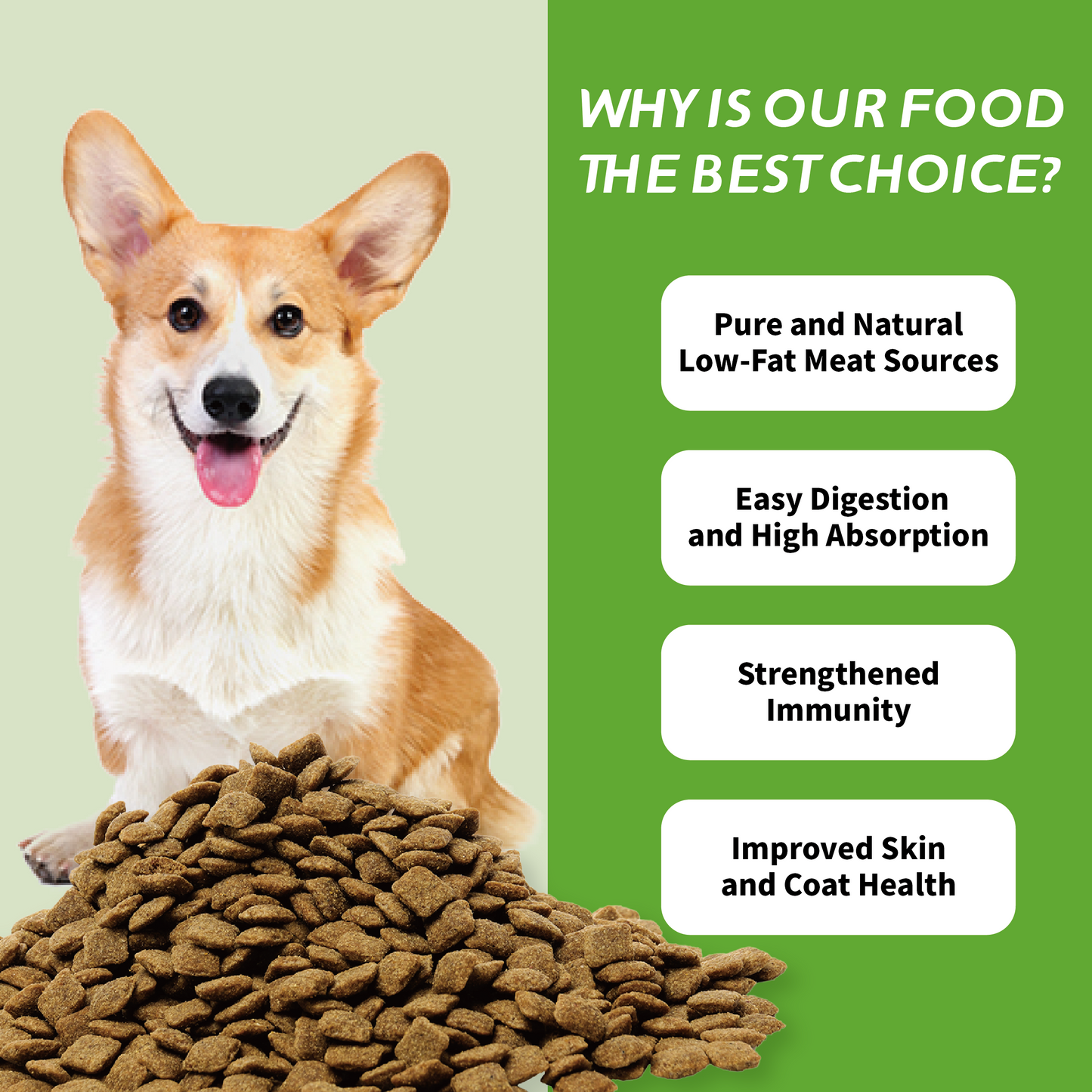 Aozi 1kg Organic Lamb & Apple Dry Dog Food for Adults & Puppies - Complete Balanced Nutrition with Immune Boost & Healthy Skin Coat Support