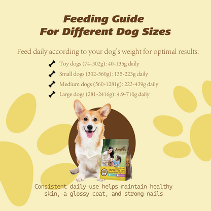JOOYPet Freeze-Dried Raw Dog Food | 20% Freeze-Dried & Essential Nutrients for Healthy Dogs