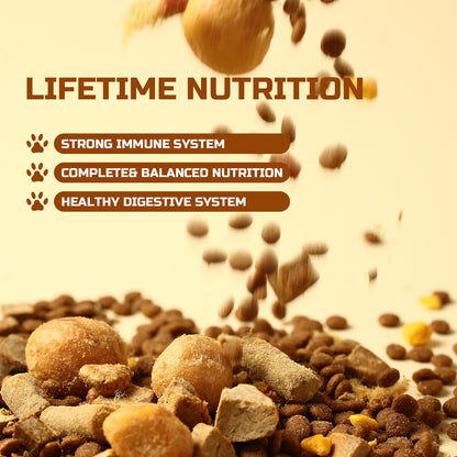 JOOYPet Freeze-Dried Raw Dog Food | 20% Freeze-Dried & Essential Nutrients for Healthy Dogs