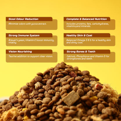 JOOYPet Freeze-Dried Raw Dog Food | 20% Freeze-Dried & Essential Nutrients for Healthy Dogs
