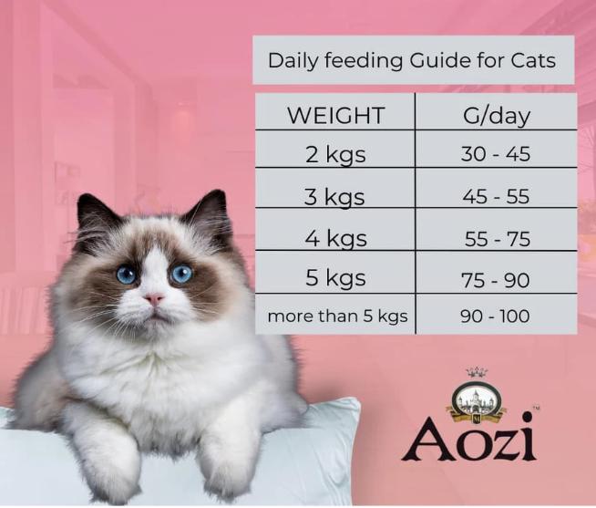 Aozi Organic Cat food for all life stage (Salmon, Fruits and Vegetables) 1KG REPACKED