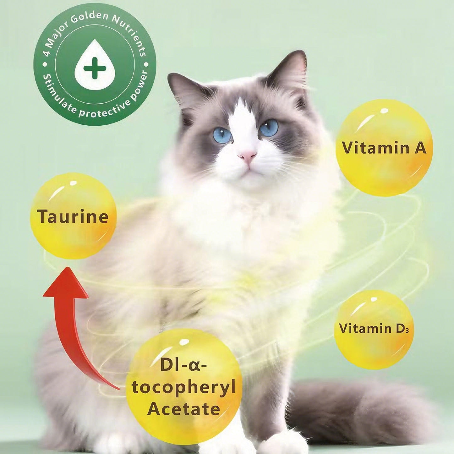 Aozi Cat Can 430g Cat Wet Food Cat Pet Essentials All Stages Adult Kitten